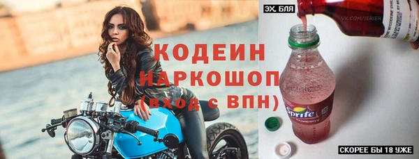 индика Горнозаводск