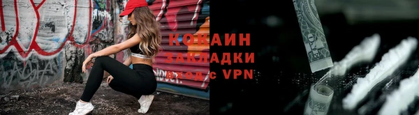 гашик Гусев