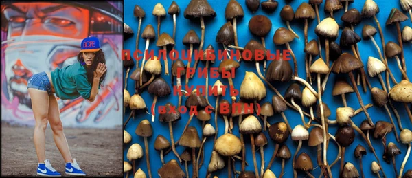 мяу мяу мука Болохово