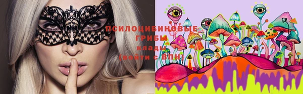 мяу мяу мука Болохово