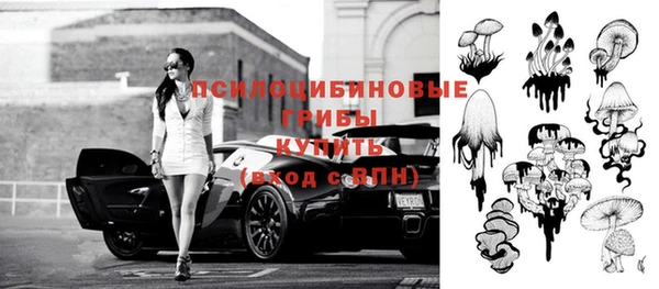 индика Горнозаводск