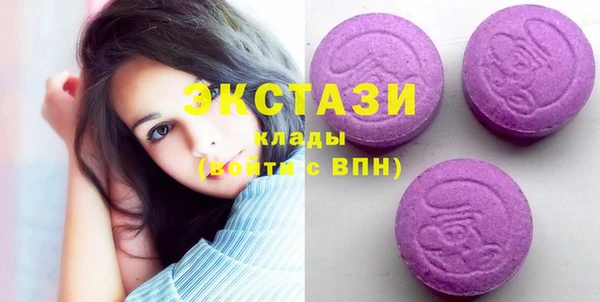 индика Горнозаводск