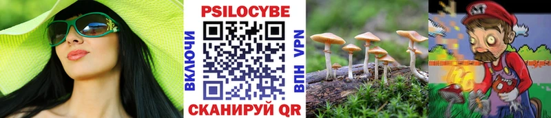 Галлюциногенные грибы прущие грибы  Купить  Краснокаменск 
